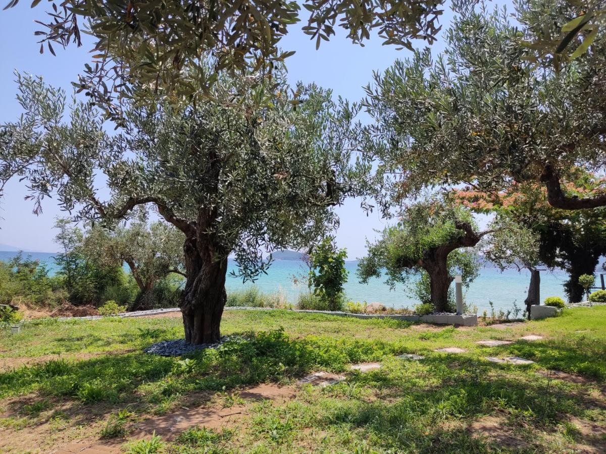 Elia By The Sea Apartment